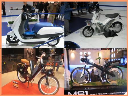 L'�cologie c'est bien